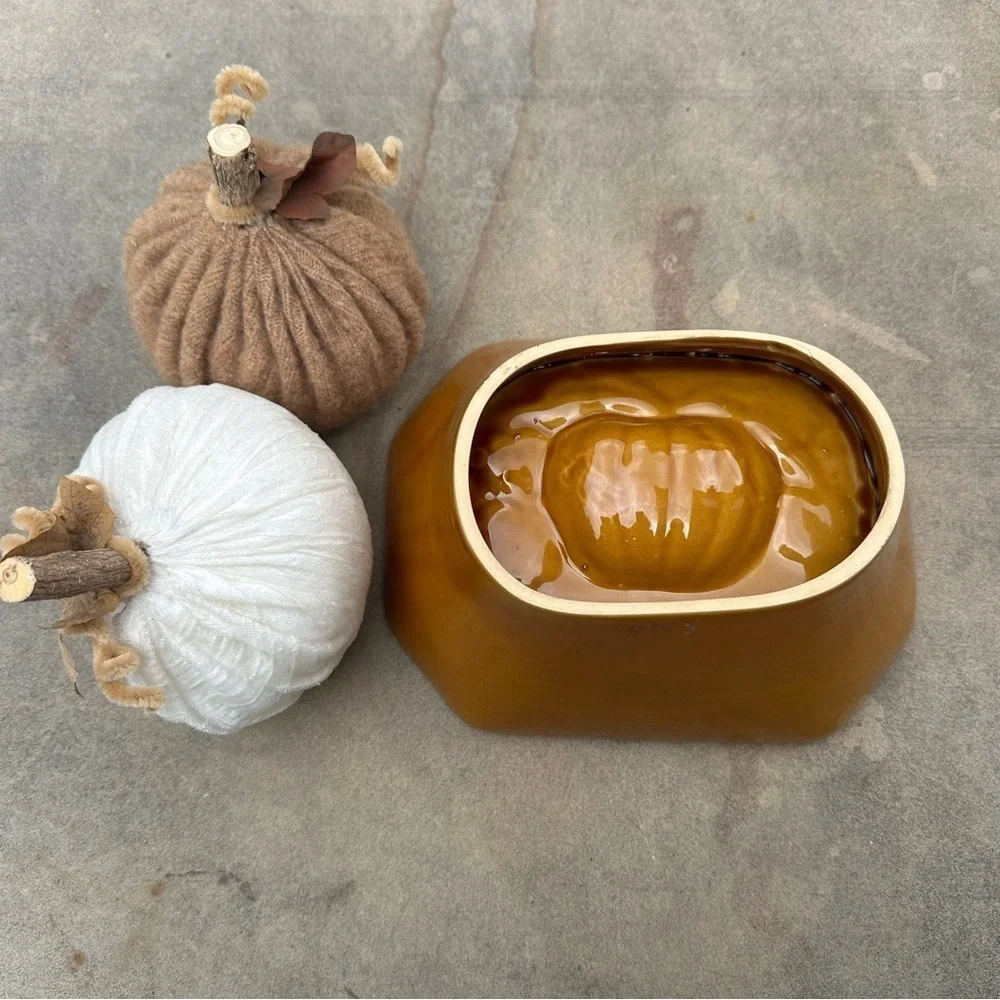 Crate & Barrel Ceramic Stoneware Fall Pumpkin Bread Cake Baking Jello Mold Decor